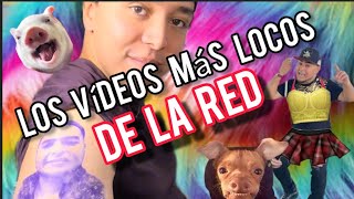 los VIDEOS más DEVERTIDOS del CHEPE [upl. by Beare499]