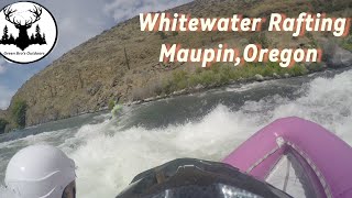 Whitewater Rafting Maupin ORboat raft [upl. by Annoerb]