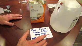 For New Gardeners How to Make a Baking Soda AntiFungal Garden Spray  MFG 2014 [upl. by Faux853]