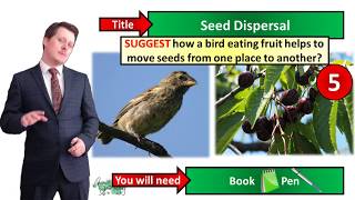 Seed Dispersal  Biology  Key Stage 3  Mr Deeping [upl. by Richarda754]