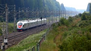 RZD EVS203 quotSapsanquot Moscow  SaintPetersburg 250 kmh [upl. by Schug658]