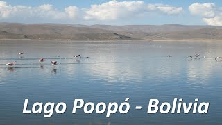 LAGO POOPÓ EPISODIO 38 DESDE LOS ANDES CON MELODÍAS DLACM MMG E0038 [upl. by Glori]