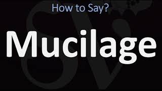 How to Pronounce Mucilage CORRECTLY [upl. by Yeldud]