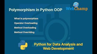 Python 17 Polymorphism in Python  Compile time and Run time polymorphism in Python [upl. by Anauqes]