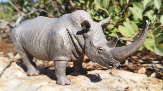 Dinosaur World Creature Spot Ceratotherium Neumayri [upl. by Blakelee]