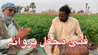 Saraiki funny song by parwana darwishkhan [upl. by Law]