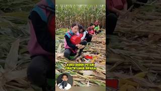 Bisa dicoba nih kursi duduk petani viral nyaman dipakai shorts tips farm berkebun [upl. by Sivat]