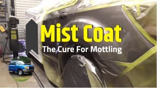 Mist Coat The Cure for Mottling or Streaks in Metallic Paint [upl. by Lalita]