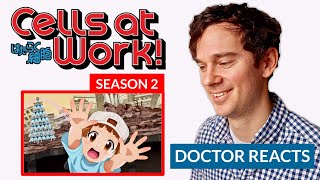 Real Doctor Reacts to CELLS AT WORK  Season 2 Episode 1  quotBumpquot [upl. by Nois]