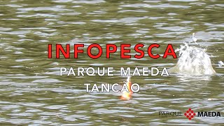 INFOPESCA  PARQUE MAEDA  SHOW DE EXPLOSÕES NO INVERNO [upl. by Ardnuaet418]