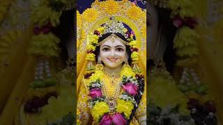 Meri vinti yahi hai Radha Rani 🙏radhekrishnastatus radhe jaishreekrishna shortvideo subscribe [upl. by Amein]