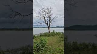 Backwaters view from the safari zone kabini [upl. by Ileray756]