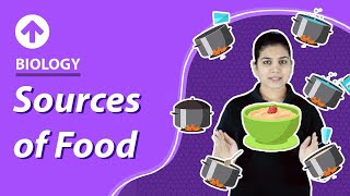 Sources of Food  Food  Class 6 Science Biology [upl. by Harli]