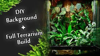 Step by Step Custom Background  Full Bioactive Terrarium Build  Electra Snow [upl. by Gebhardt]