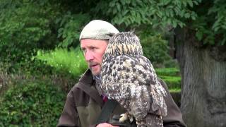 Scotland  Dunrobin Castle with Andy Hughes Falconer [upl. by Laraine]