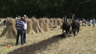 2010 Stoppelhaene Roggemaaiersdag Ploegen met paarden [upl. by Llenna]