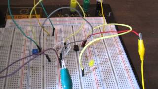 LM311 Voltage Comparator Circuit operates as night light circuit [upl. by Donegan]