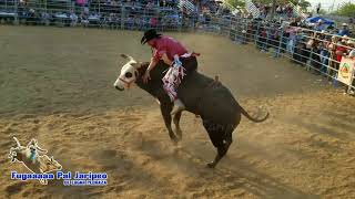 EL SON DE LOS ENANITOS Fugaaaaa Pal Jaripeo [upl. by Ollopa]