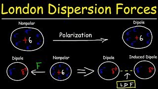 London Dispersion Forces amp Temporary Dipole  Induced Dipole Interactions  Intermolecular Forces [upl. by Riti926]