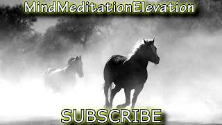 TRAIN YOUR MIND meditationmusic [upl. by Alletneuq759]