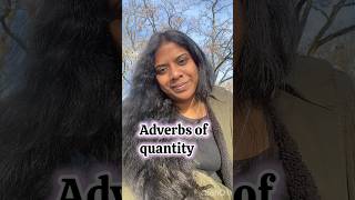 Adverbs of quantity in French frenchforbeginners learnfrenchintamil frenglish [upl. by Ecienal716]