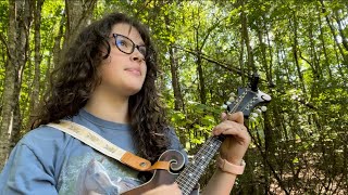 Wayfaring Stranger  Johnny Cash cover on the mandolin [upl. by Davidde]