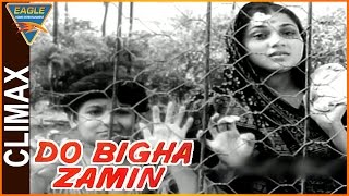 Do Bigha Zamin Hindi Movie  Climax Scene  Balraj Sahni Nirupa Roy  Eagle Hindi Movies [upl. by Anthe51]