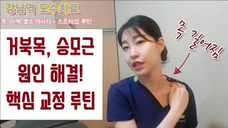 효과 만점 목 어깨 승모근 통증 해결하고 목도 길어지는 셀프 마사지 스트레칭 루틴 거북목 라운드숄더 교정 두통 목 디스크 예방 [upl. by Yelsha]