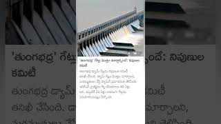 Tungabhadra Dam floods [upl. by Nelli]