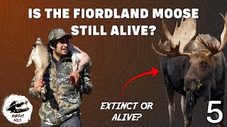 Is The Fiordland Moose Extinct or Alive  The Aureus Wild Podcast Ep 5 [upl. by Otsedom]