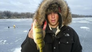 MN Metro Jumbo Perch [upl. by Neurath]