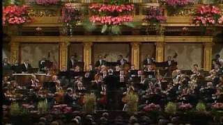 Johann Strauss BAUERNPOLKA [upl. by Hyde773]