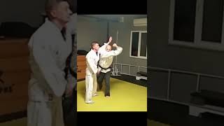 Aı Hanmi shomen amp judan tsuki drills silifke aikido martialarts [upl. by Anileve]