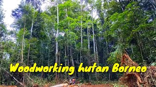 woodworking hutan Borneo pedalaman‼️ [upl. by Attayek]