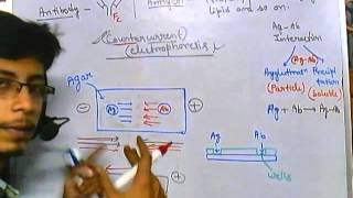 Immunoelectrophoresis counter current [upl. by Ardnwahsal]