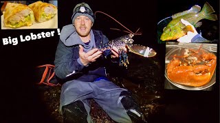 COASTAL FORAGING  Big Lobster  Bass amp Wrasse  Tasty Lobster wraps [upl. by Aissak280]