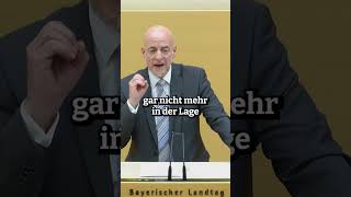 Schutz des BAYRISCHEN Dialekts afd bundestag [upl. by Agace]