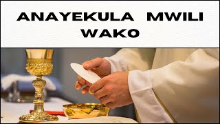 ANAYEKULA MWILI WAKO  TRADITIONAL  LYRICS VIDEO [upl. by Erotavlas]