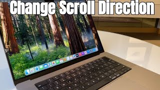 How To Change MacBook Scroll direction Touchpad [upl. by Olbap830]