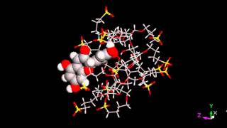 Allatom molecular dynamics simulation of cyclodextrindelphinidin complex [upl. by Harrod]