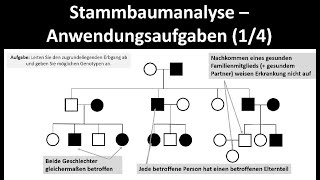 Stammbaumanalyse  Anwendungsaufgaben 14  Biologie Oberstufe [upl. by Ring]