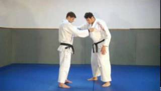 JUDO 1  Vincent Parisi  MDV Communication [upl. by Jareb]