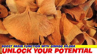 Boost Brain Function with Ginkgo Biloba [upl. by Lipski]