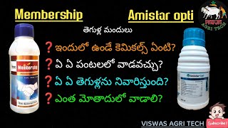 Membership telugu Amistar opti telugu  Azoxystrobin 48 Chlorothalonil 40 SC  Fungicide [upl. by Nemaj550]