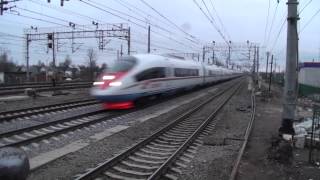 RZD Sapsan High speed train 200 kmh stTosno [upl. by Ielak999]