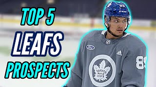 Top 5 Leafs Prospects 20202021  Toronto Maple Leafs Top Prospects [upl. by Nomrac]