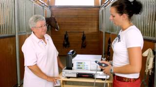 MASTERPULS  Equine Shockwave Therapy [upl. by Nevear]