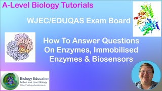 How to answer ALevel biology questions on immobilised enzymes for WJEC and EDUQAS exam boards [upl. by Aneris224]