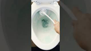 How To Clean a Toilet Brush [upl. by Leyes148]