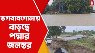 Padma Water Level প্লাবিত চাষের জমি ভগবানগোলায় বাড়ছে পদ্মার জলস্তর [upl. by Nuahs]